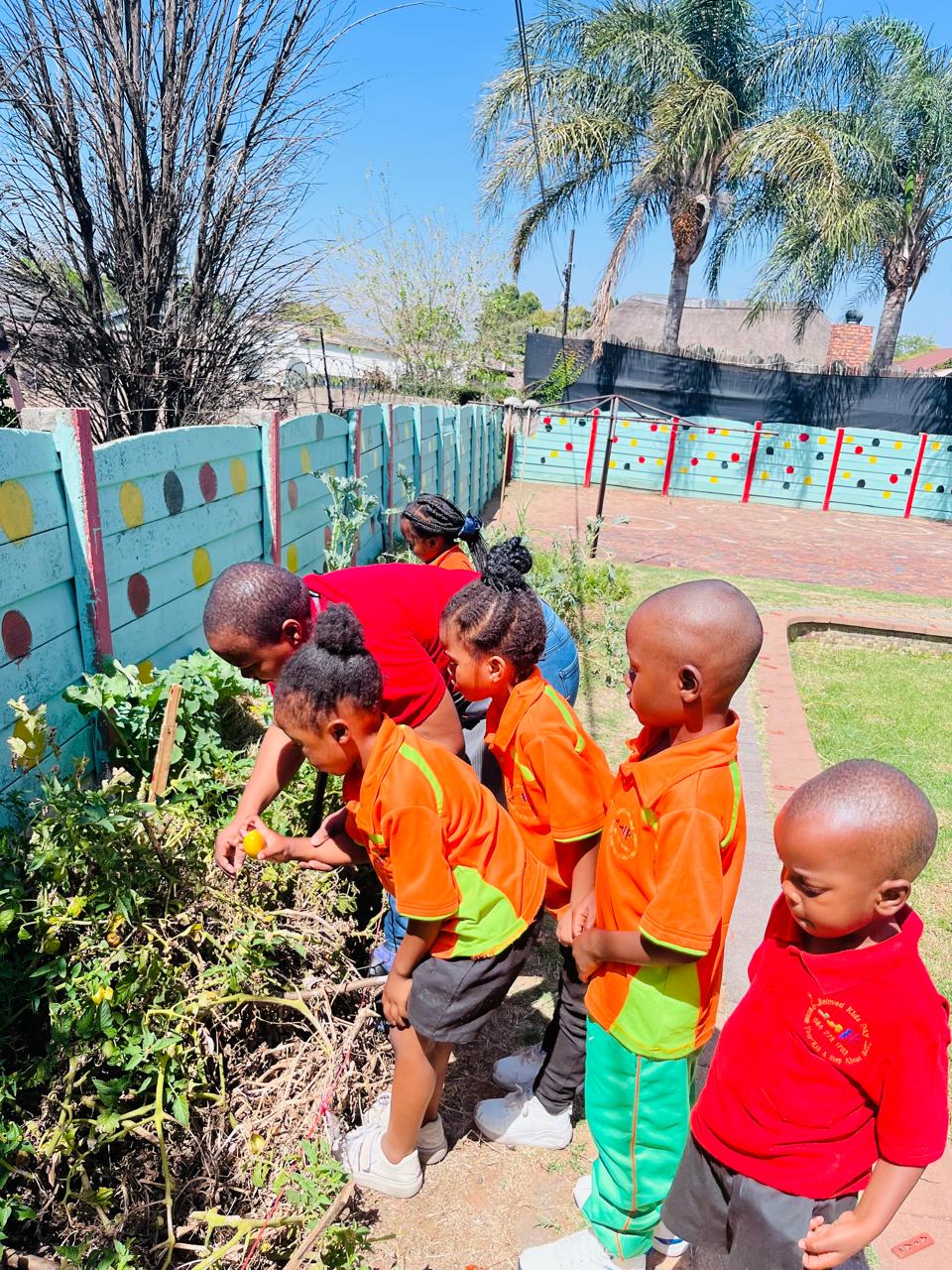 Garden & Play